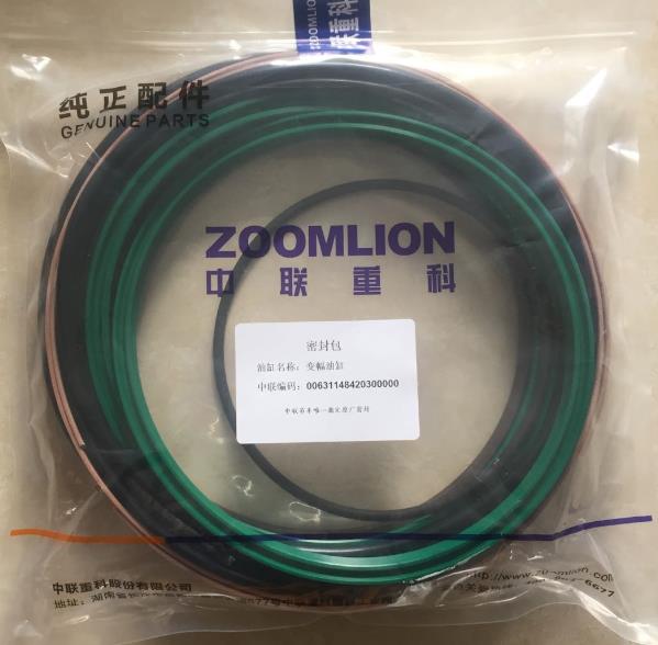 Derricking Cylinder Service Kit for Zoomlion QY55V Crane